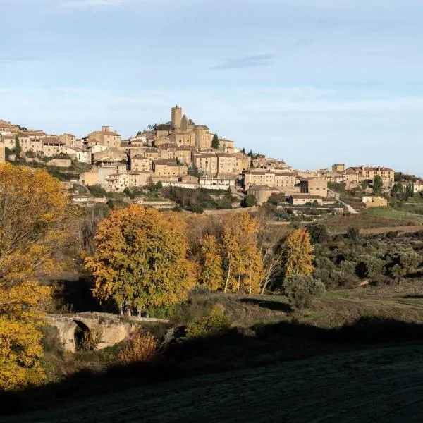 Parador de Sos del Rey Católico, hotel in Pintano