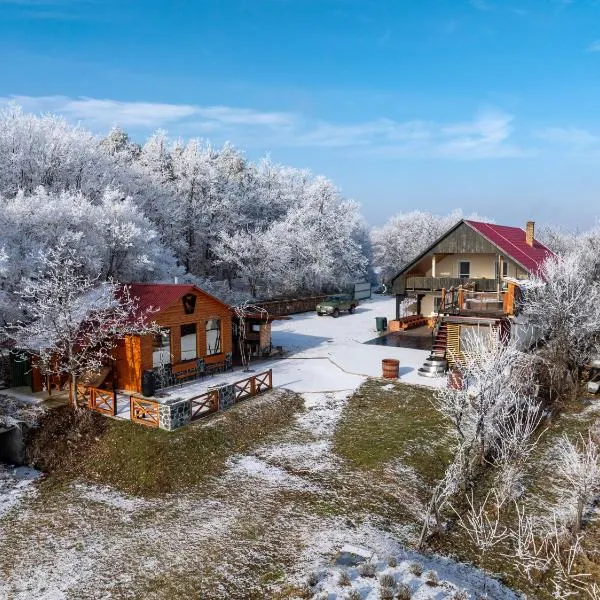 Baglyas Vendégház, hotel in Edelény