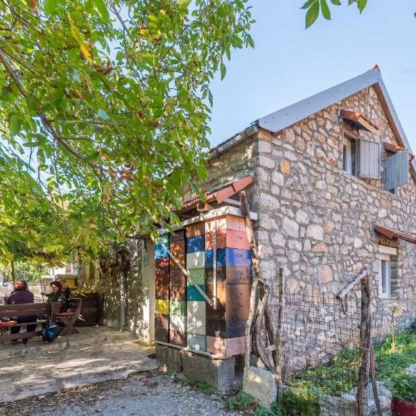 Family Vujic household - with organic fare – hotel w mieście Cetynia