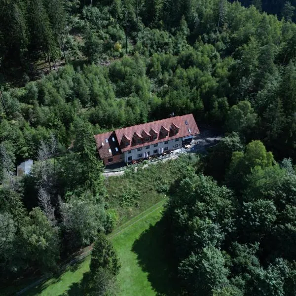 Waldpension Am Köpfchen、Kurort Steinbach-Hallenbergのホテル