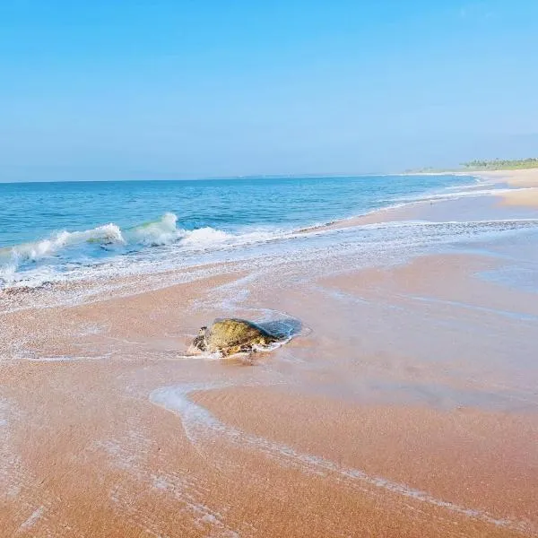 Shine Wave Turtle Beach, hótel í Tangalle
