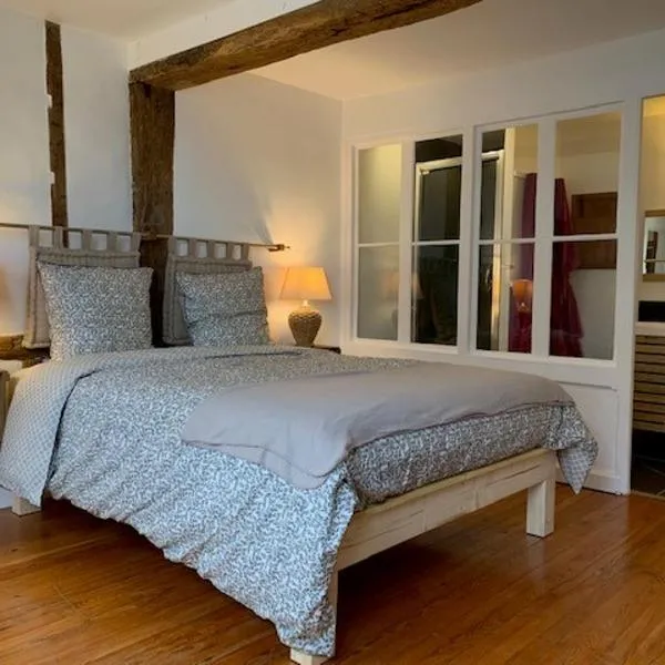 Le tertre Chartrain - Maison de ville, hotel v destinaci Chartres