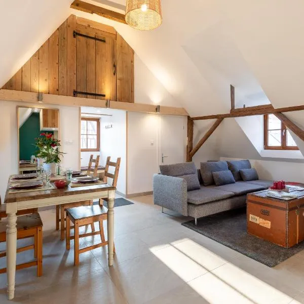 Chabi Chalet Gîte au coeur d'Eguisheim, hotel v destinaci Eguisheim