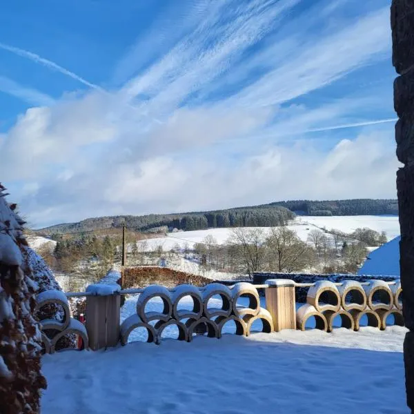 die alte schule-studio, hotel in Alfersteg