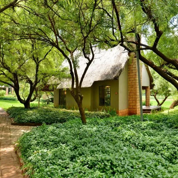 African Hills Safari Lodge & Spa, hotel in Rietfontein