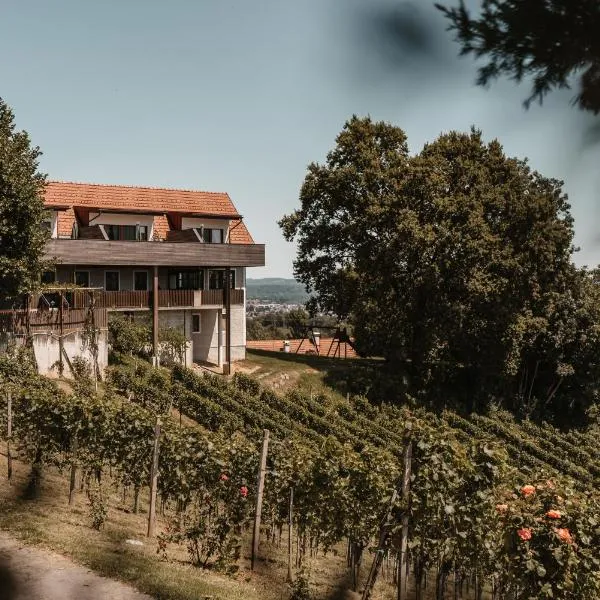 Weingut Assigal, hotel v destinaci Leibnitz