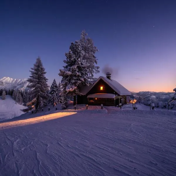 Jagdhütte Gammeringalm, hotel v Spital am Pyhrnu