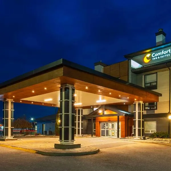Comfort Inn & Suites, hotel en Burgessville