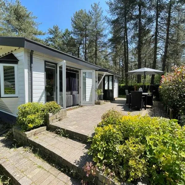 Luxe vakantiehuis in het bos, hotel v destinaci Overbroek