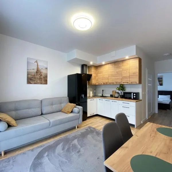 Apartamenty Przemyśl BG, hotel v destinaci Přemyšl
