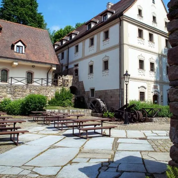 Penzion Šiškův mlýn, hotel en Třešť