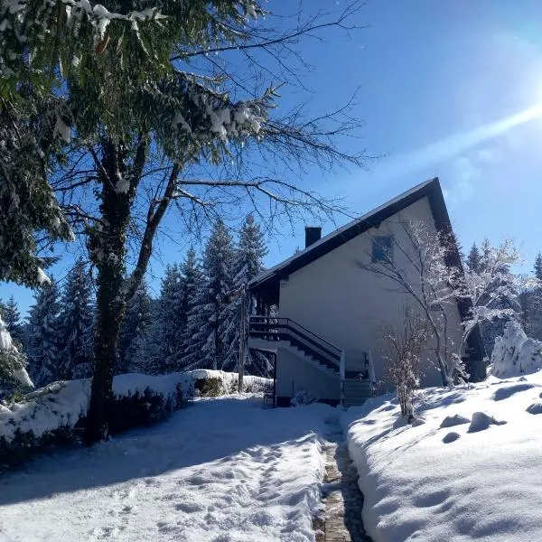 Studio apartman Singer, hotel v destinaci Vrbovsko