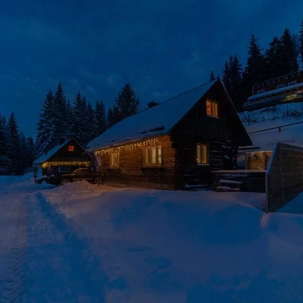 Almhütte Hebalm mit Whirpool, hotel in Pack