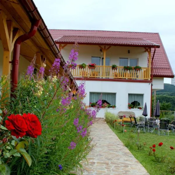 Pensiunea Poezii Alese, hotel di Valea Drăganului