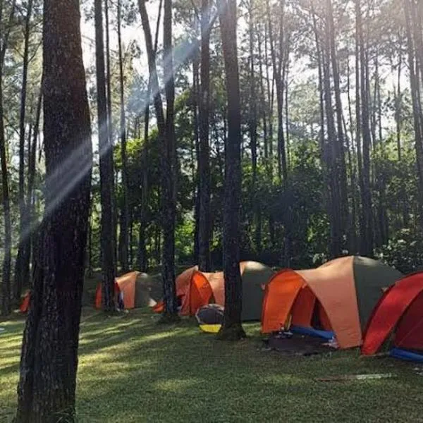 Wong Deso Camping, hotell Seminyakis