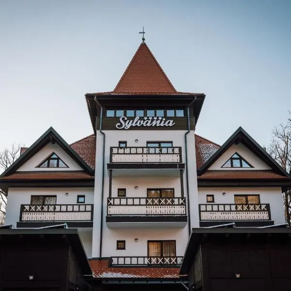 Pensiunea Sylvania, hotel v destinaci Sovata