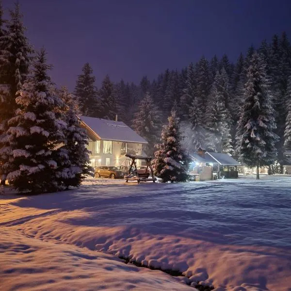 Casa Danielle, hotel v destinaci Topliţa