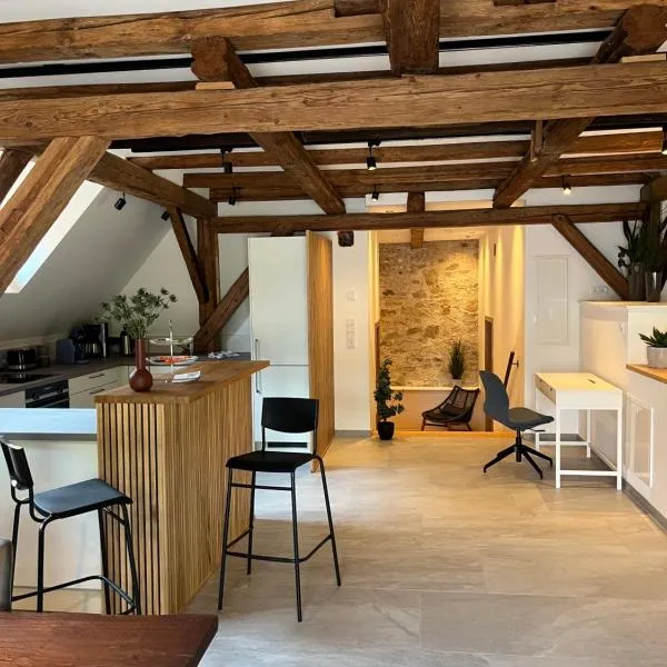 Neu - Wenkheimer Hof Scheunen-Loft, Hotel in Iphofen