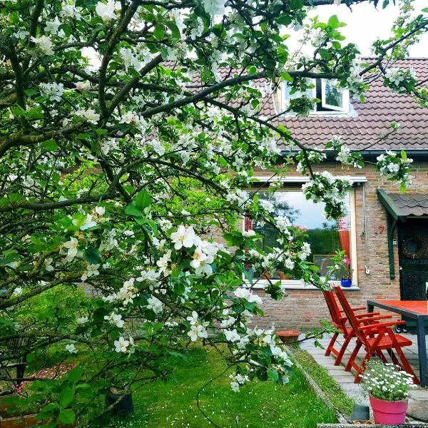 Huisjeaandedinkel, hotel in Overdinkel