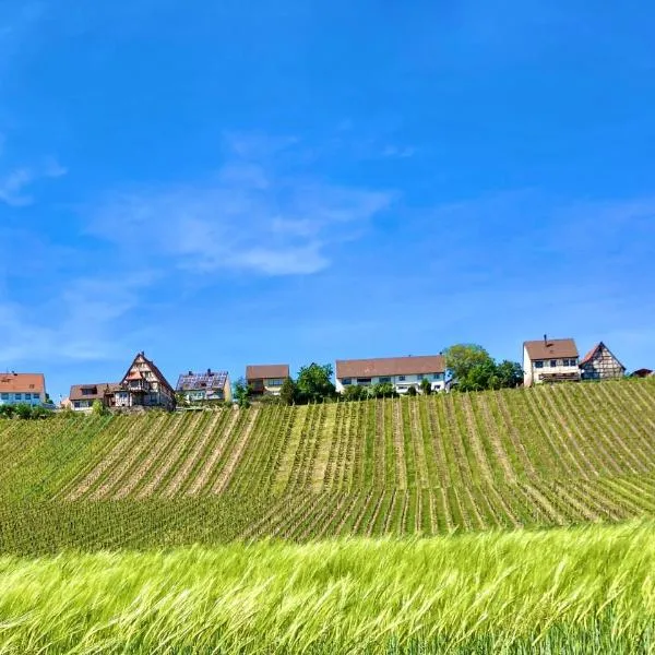 Komforthaus Gartenfreude, ξενοδοχείο σε Sachsenheim