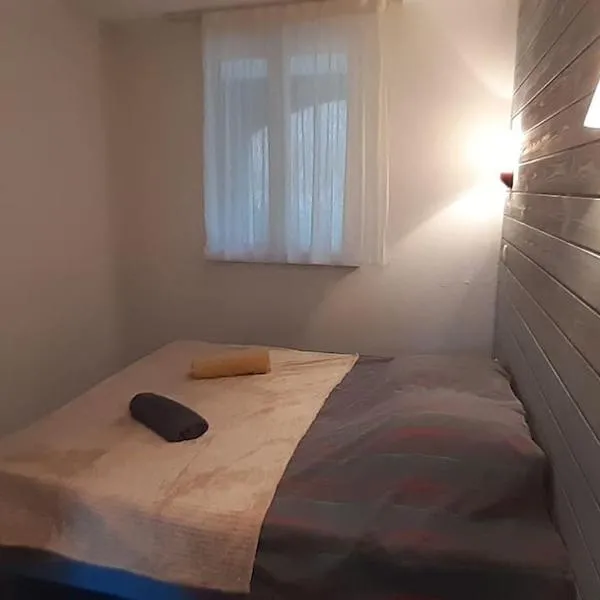 Bielle, grand appartement 38m2, piscine, 4 pers, couchages 160x200 โรงแรมในBielle