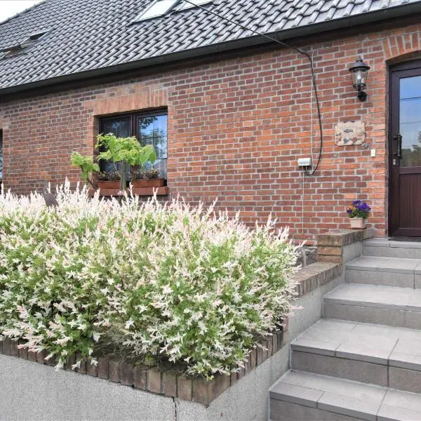 Reihenferienhaus mit Kamin und Terrasse im Ostseeland OFC 11, hotel in Gerdshagen
