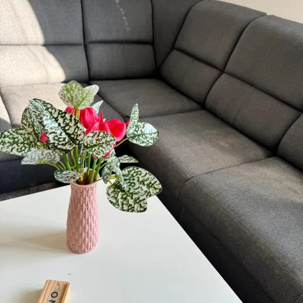 Apartment C25, hotel a Trnava