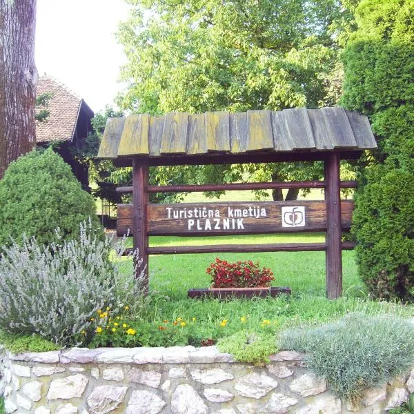 Guest House Turistična kmetija Plaznik, hôtel à Ljubno