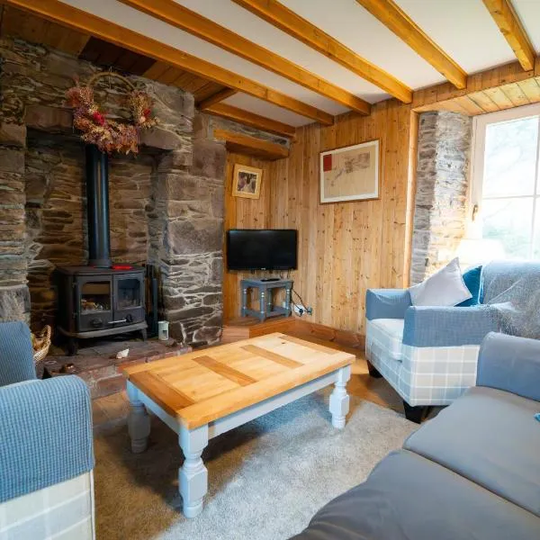 Brosnan's Cottage, готель у місті Дінгл