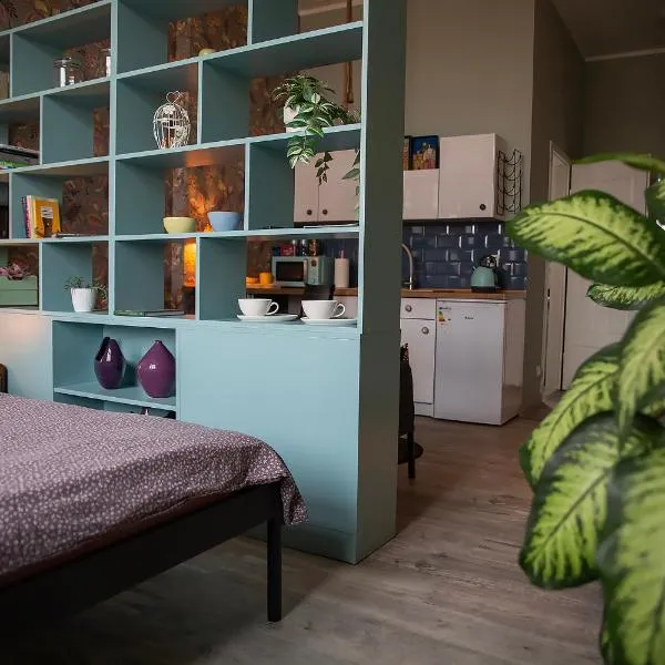 Apartament u Olechny 5, hotel in Bydgoszcz