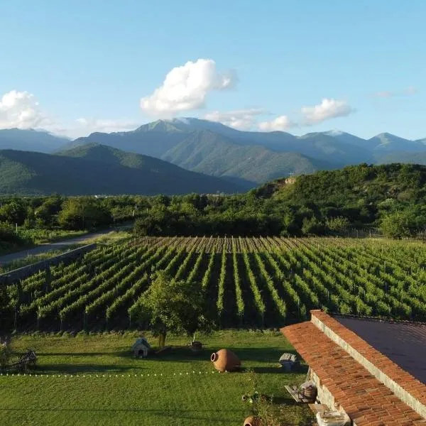 Chubini Winery & Cabins, hotel a Eniseli