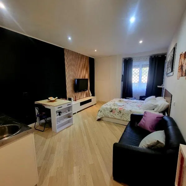 Roma Luxury Loft, hotel in La Giustiniana