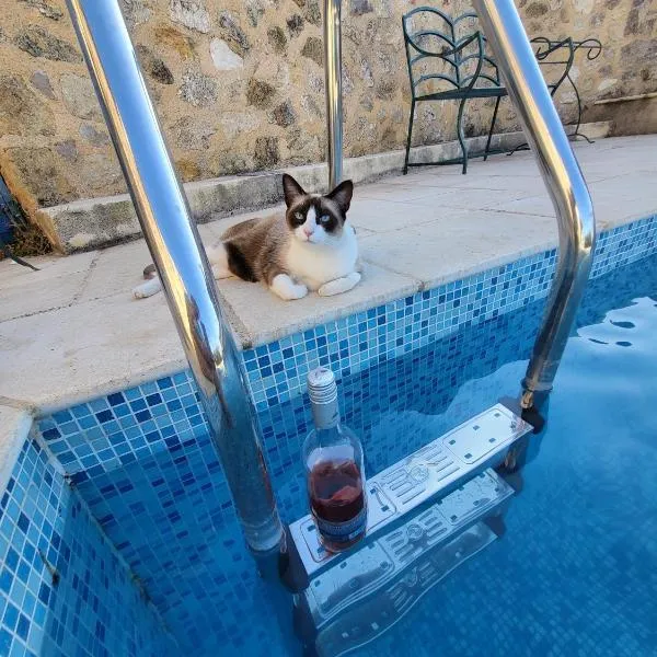 La rose du vent，Saint-Pons-de-Mauchiens的飯店