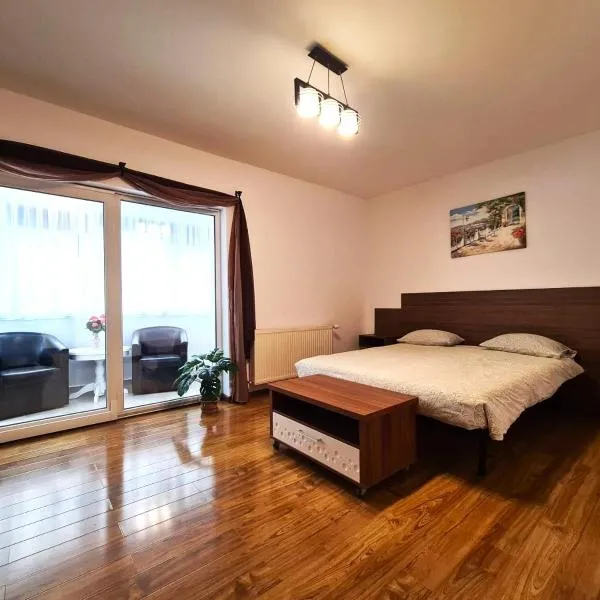 시비우에 위치한 호텔 Apartament Giulio