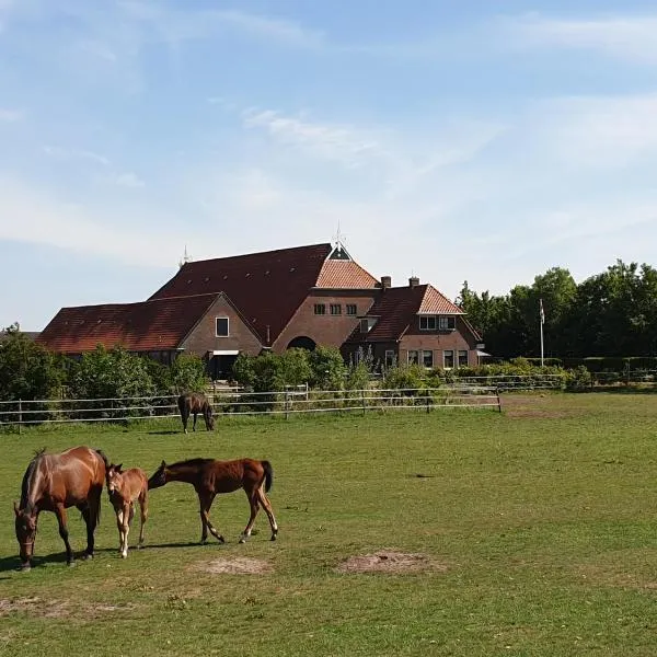 Camping Eefting, hotel en Munnekeburen