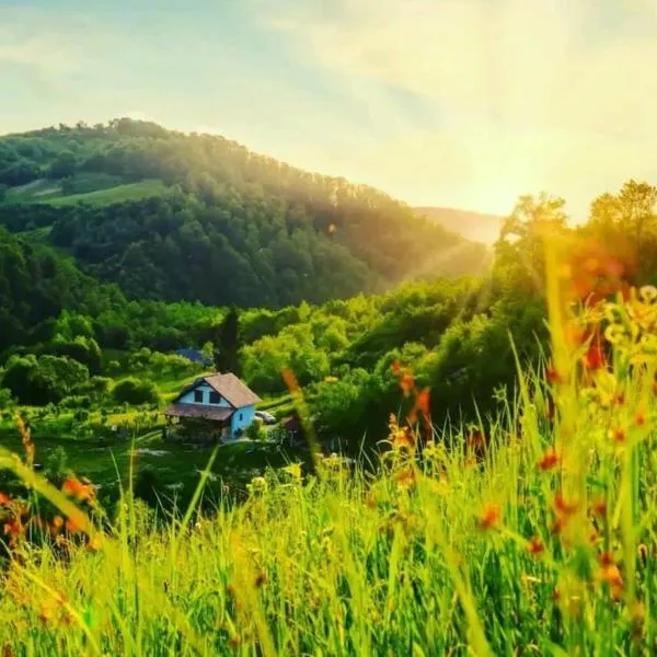 Cuibul cu Trufe, hotel di Feldru