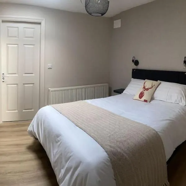 Castletroy Apartment, hotel in Castleconnell