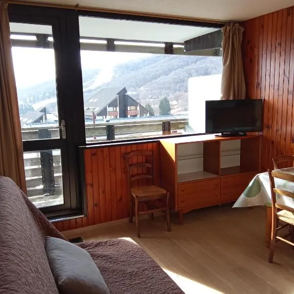 Appartement plein cœur Super-Besse, hotel in Besse-et-Saint-Anastaise