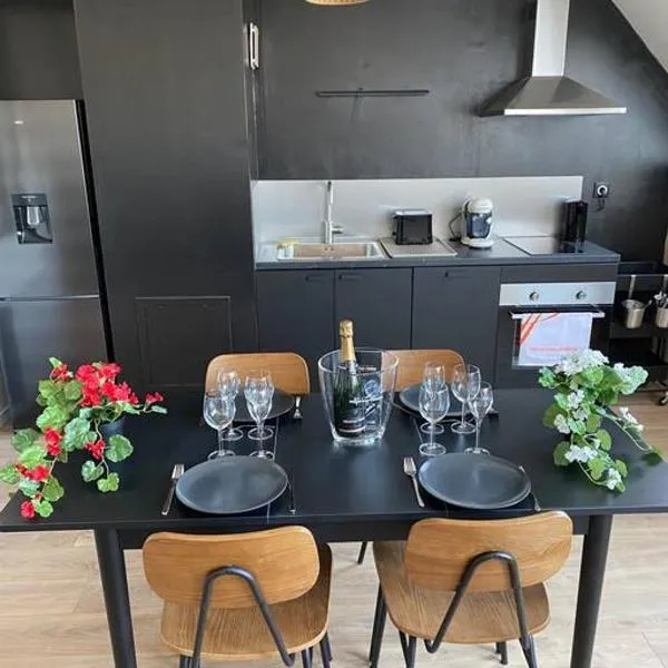 E centre ville professeur langevin spacieux cosy, hotel in Épernay