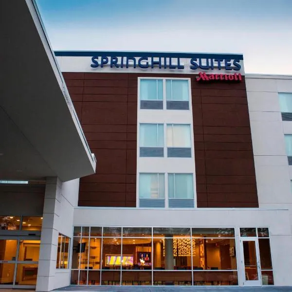 SpringHill Suites by Marriott Wisconsin Dells, hotel in Lyndon Station