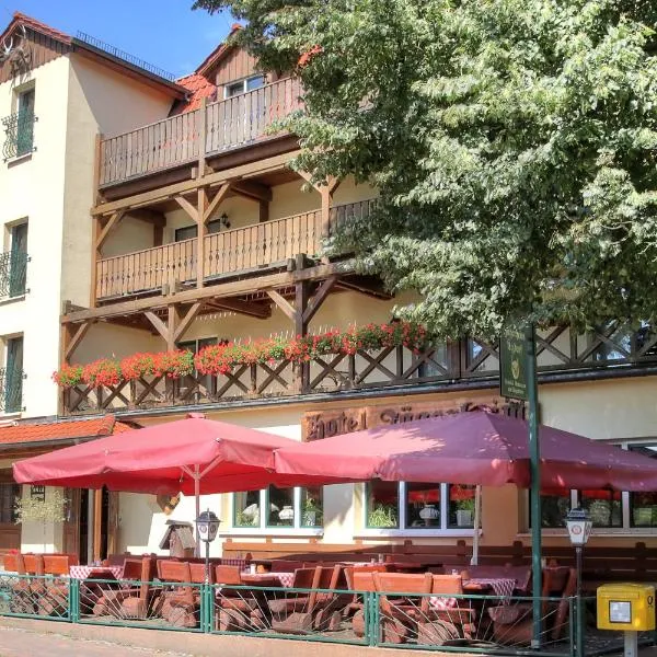 Hotel am Liepnitzsee, hotel v destinaci Wandlitz