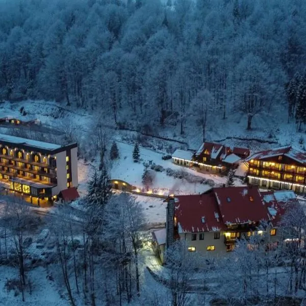 Ozero Vita, hotel di Nizhniy Studenyy