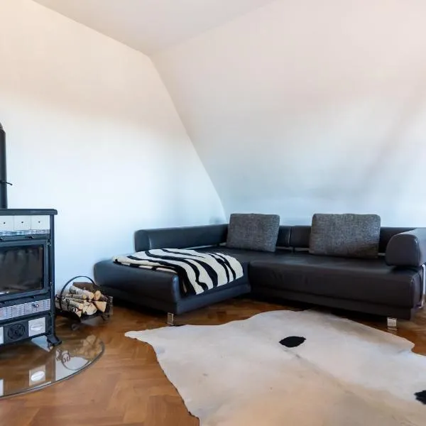 Doppelhaus- Villa Leipzig Schleußig , moderner Altbau Apartment Dachetage mit 2 Schlafzimmern und separatem Zusatzzimmer , Parkplatz - Balkon - Kamin - Eicheparkett - Arbeitsplatz, hotel v Leipzigu