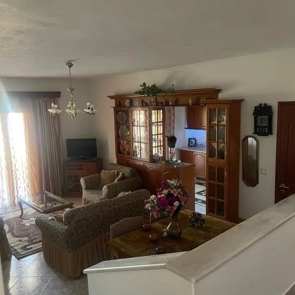 Bright apartment, spacious near the center, hotel din Fíki