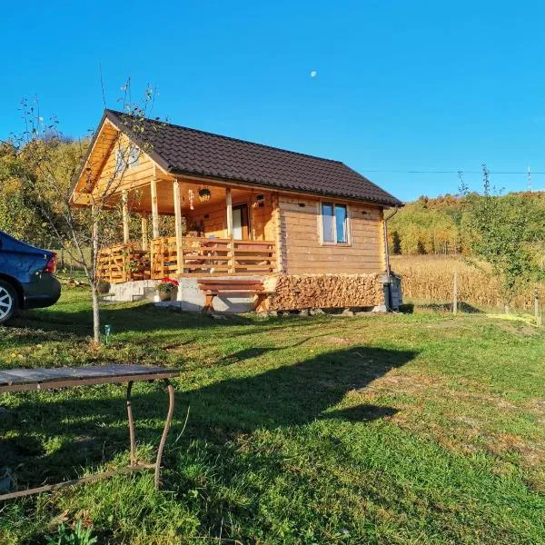 Stefana's Tiny House Nature Retreat、Sărădişのホテル