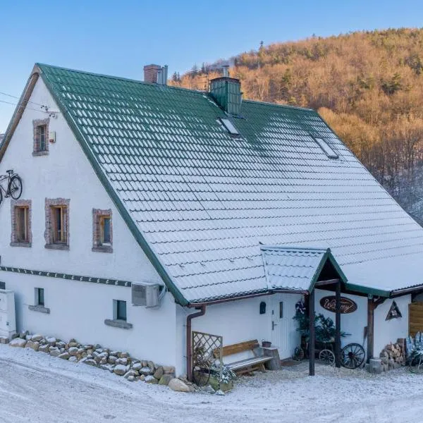 Górski Sad - Pokoje, hotel v destinácii Piechowice