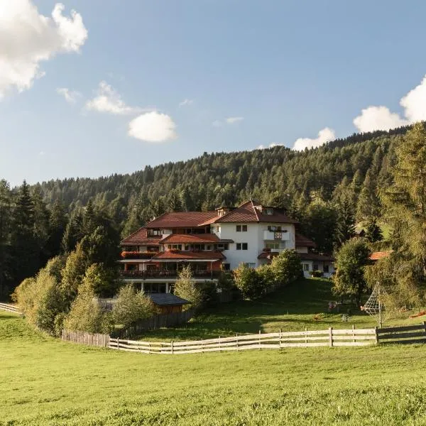 Berghotel zum Zirm, hôtel à Collalbo