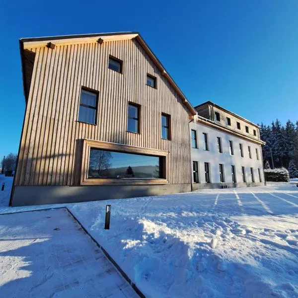 Apartmán v Javorné na Šumavě, hotel u gradu 'Javorná'