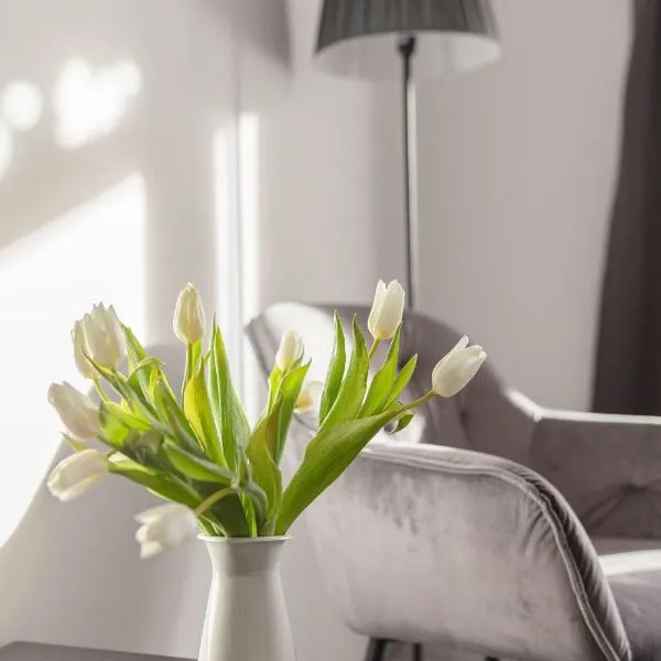 Deluxe Apartments 55, hótel í Kranjska Gora