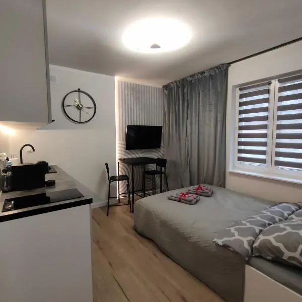 Slate Apartament Polanica - Zdrój, hotel in Polanica-Zdrój